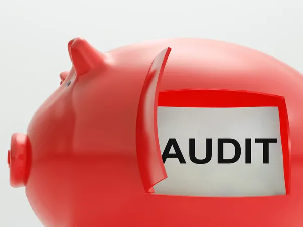 Audit piggy bank betekent controle en validatie — Stockfoto