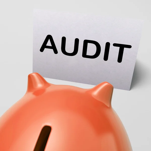 Audit piggy bank toont inspecteren analyseren en controleren — Stockfoto