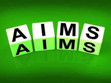 Amaç hedef ve amaçları hedefler blokları anlamına