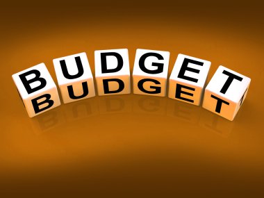 finansal planlama ve muhasebe bütçe bloklarını göster