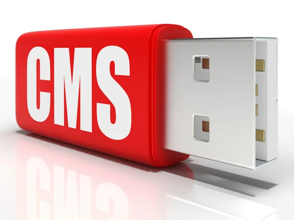 CMS-Stick bedeutet Content Management System — Stockfoto