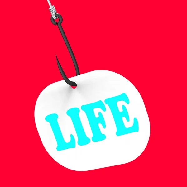 Life On Hook Shows Happy Lifestyle Or Prosperity — Stock Photo, Image