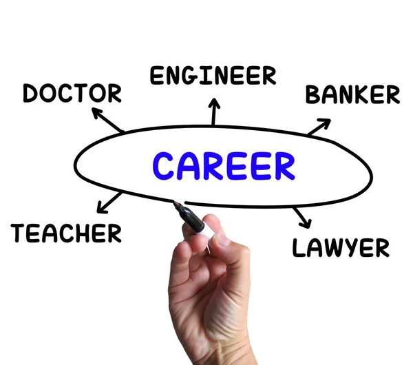 Career Diagram Means Profession And Field Of Work — Stock Photo, Image