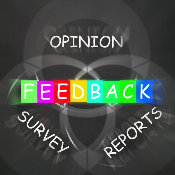 Feedback Exibe Relatórios e Pesquisas de Opiniões — Fotografia de Stock