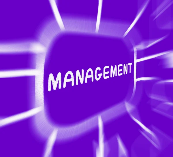 Management diagrammet visar myndighetens styrelse och styrelsen — Stockfoto