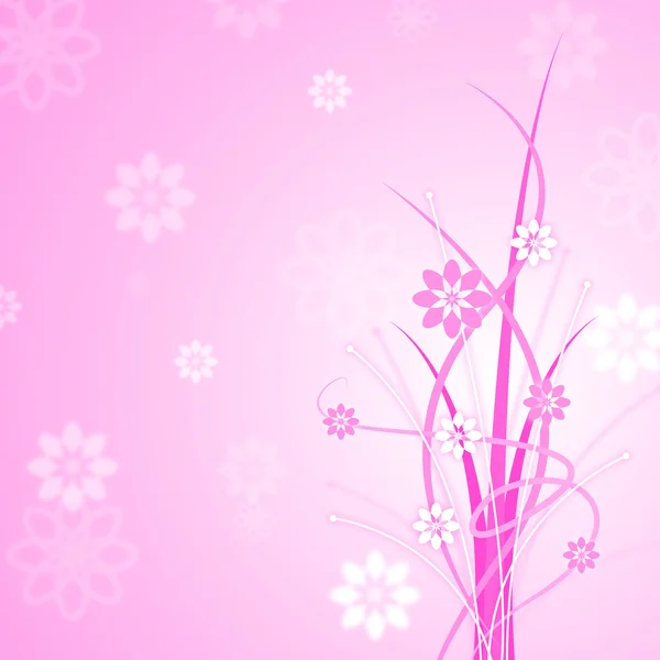 Roze achtergrond toont florals bloemen en bloemen — Stockfoto