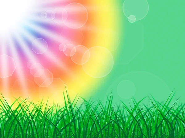 Zonnestralen betekent groen gras en balk — Stockfoto