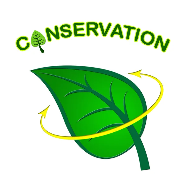 La Conservación de Hojas Representa Ir Verde y Conservar —  Fotos de Stock