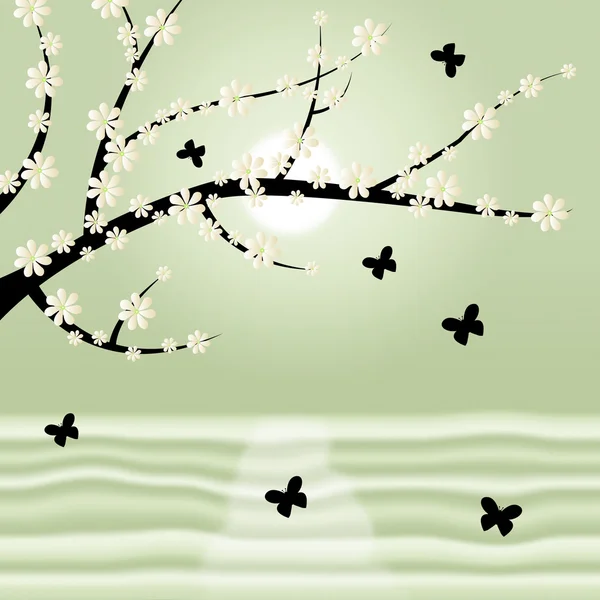 Primavera floral significa tronco de árbol y copa de árbol — Foto de Stock