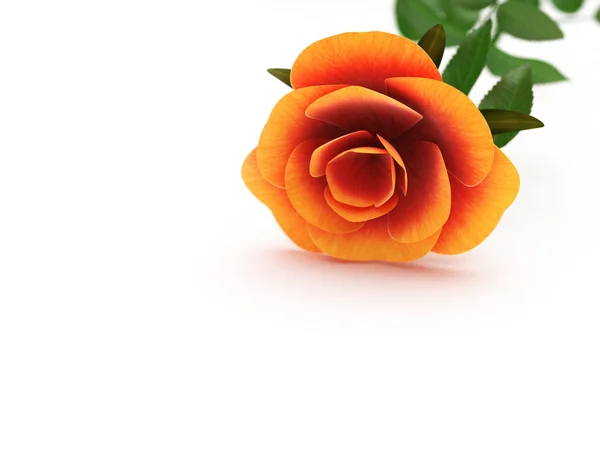 Róża lato reprezentuje miejsce płatek i Walentynki — Zdjęcie stockowe