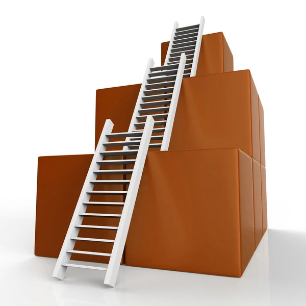 Success Ladders Shows Succeed Victor And Increase — Stock Photo, Image