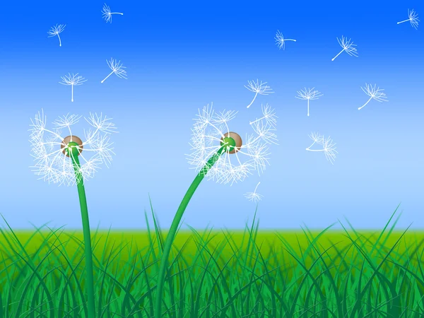 Dandelion Sky Shows Green Pasture And Grass — Stock Photo, Image