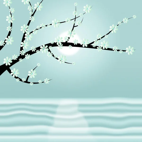 Frühlingsblüte zeigt Baumstamm und Blüte — Stockfoto