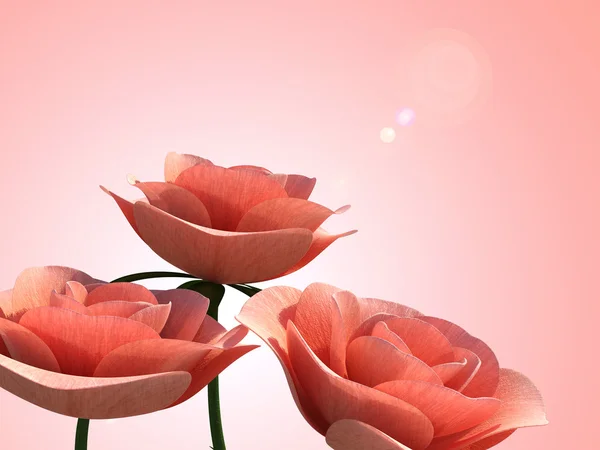 Copyspace 玫瑰意味着浪漫花瓣和弗洛拉 — 图库照片