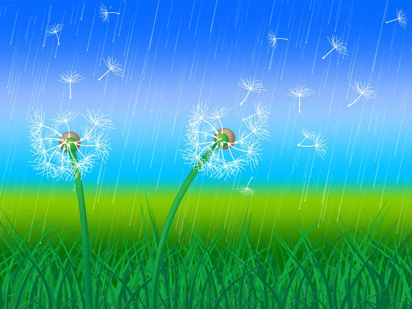 蒲公英草显示天空花和环境 — 图库照片