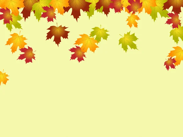 Copyspace Autumn Representa Árbol de Campo y Escénico — Foto de Stock