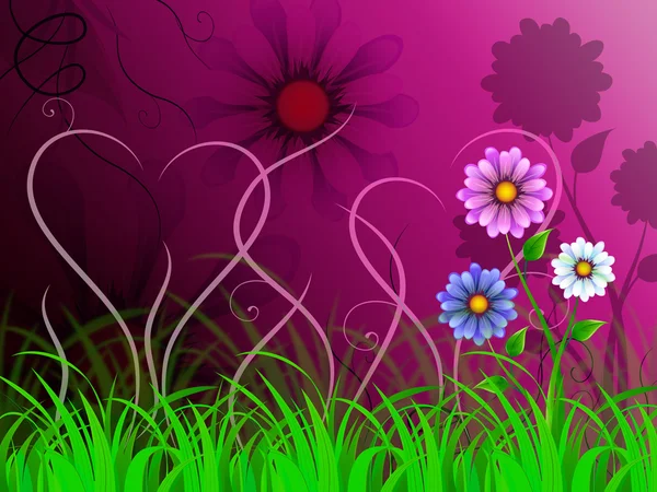 Flowers Background Shows Colorful Pretty And Natural Worl — Stock Photo, Image
