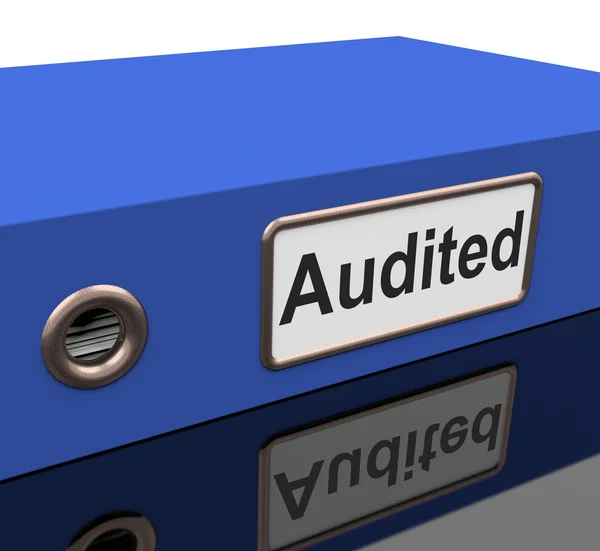 Audited File Shows Business Scrutiny And Inspect — Stock Photo, Image