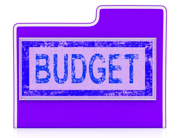 Budget File Shows Economy Business And Expenditure — Stock Photo, Image