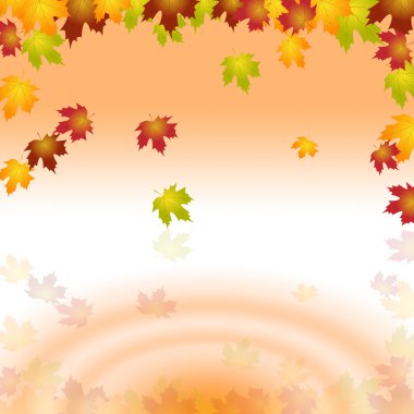 Bahçe ve açık doğa boşaltmak su gösterir