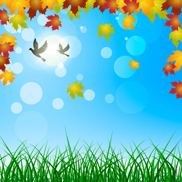 Leaves Background Shows Blank Space And Botanic — Stock Photo, Image
