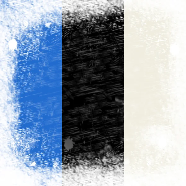 Flag Estonia Indicates Text Space And Blank — Stock Photo, Image