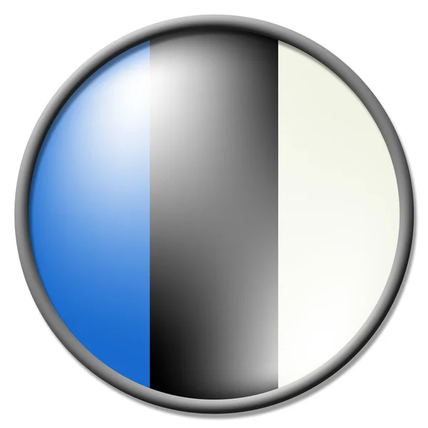 Estonská odznak představuje vlající vlajky a odznaky — Stock fotografie