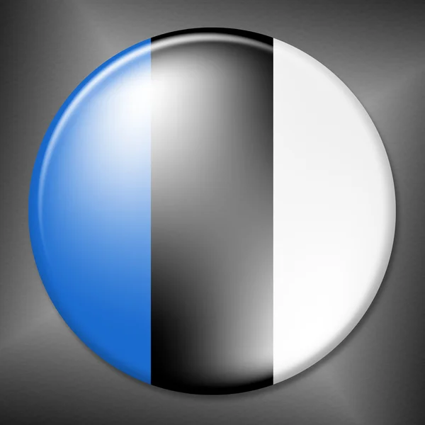 Estniska badge visar viftande flagga och emblem — Stockfoto