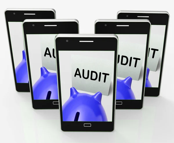 Audit Piggy Bank Shows Inspect Analyze And Verify — Stock Photo, Image