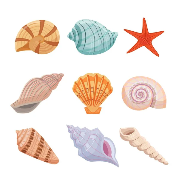 Set di conchiglie colorate. Stella marina e ostrica a spirale con fantasia decorazione di traforo di interni e alla moda acquario gusci luminosi di molluschi dal fondo dell'oceano. Vettore esotico del fumetto. Illustrazione Stock