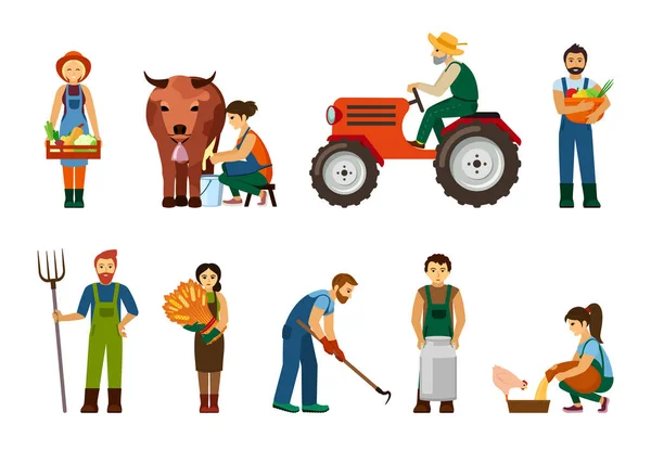 Agricultores no local de trabalho. Homem idoso monta trator personagem masculino e feminino com caixas de legumes frescos mulher ordenha vaca camponesa arrasta lata de leite em fazendeiros de celeiro com trigo. Desenhos animados eco vector. —  Vetores de Stock