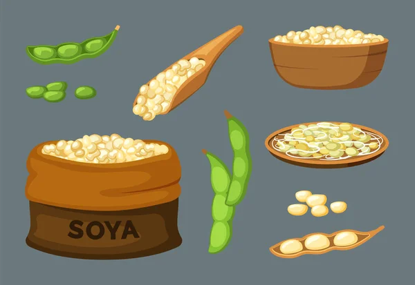 Soya Vegetarian Natural Healthy Protein Food Soya Bean Products Vector — Vector de stock