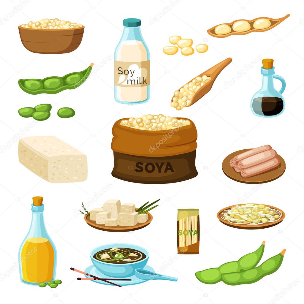 soya. vegetarian products from soya natural healthy food with protein. Vector cartoon illustration