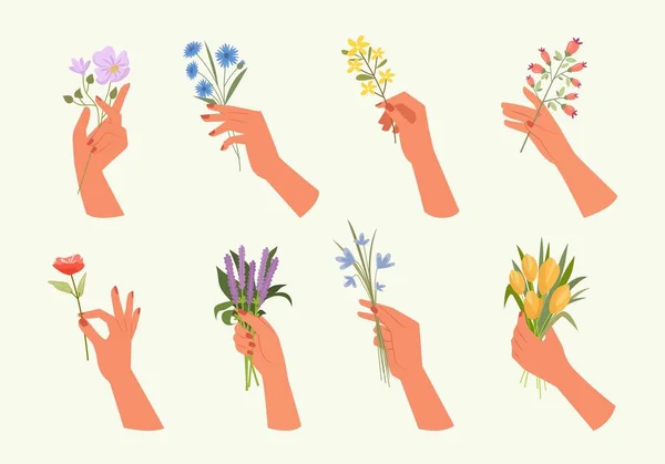 Hands Flowers Various Beautiful Bouquets Botanical Plants Decoration Gifts Elegant — Vector de stoc