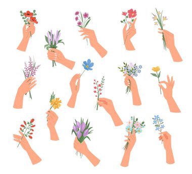 hands with flowers. decorative botanical illustrations bouquet in woman hands. Vector beautiful plants cartoon templates