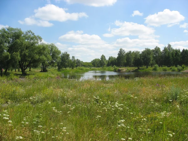 Summer landscape with a pond Stock Photo