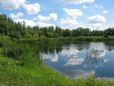 Yaz manzara: gölet Park