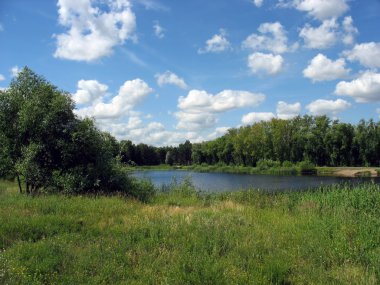 Yaz manzara: gölet Park
