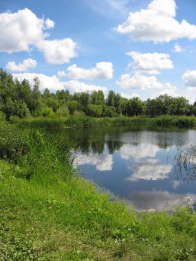 Yaz manzara: gölet Park