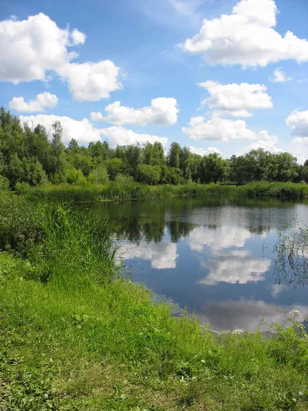 Letní krajina: rybník v parku — Stock fotografie