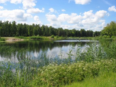 Yaz manzara: gölet Park