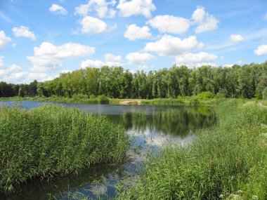 Yaz manzara: gölet Park