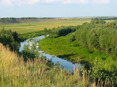 Yaz manzara. küçük nehir