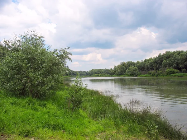 Letní krajina s klidná řeka — Stock fotografie