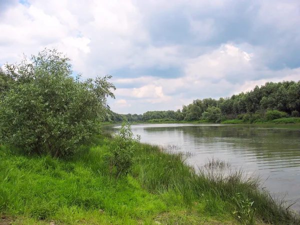 Paesaggio estivo con un fiume calmo — Foto Stock