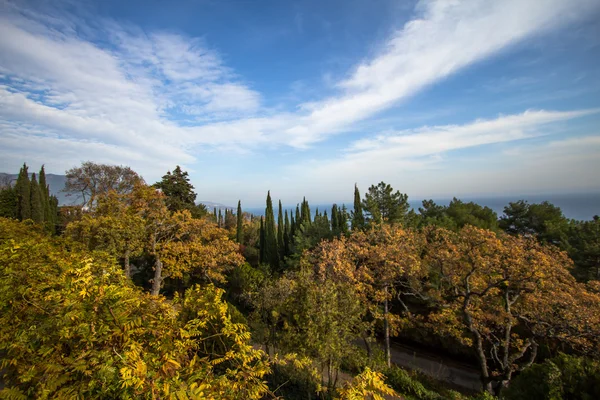 Autumn landscape — Stock Photo, Image