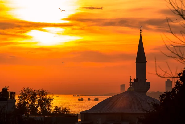 Mosque silhouette — Stock Photo, Image