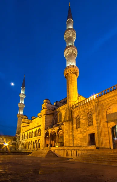 Mosquée bleue — Photo