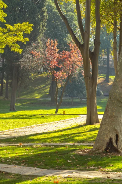 İstanbul park — Stok fotoğraf