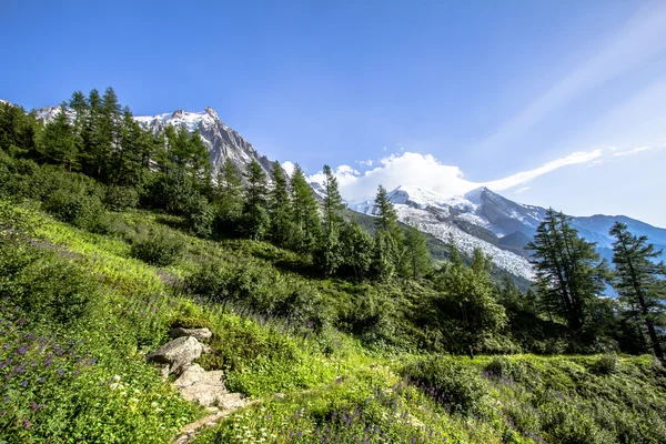 Alps — Stock Photo, Image